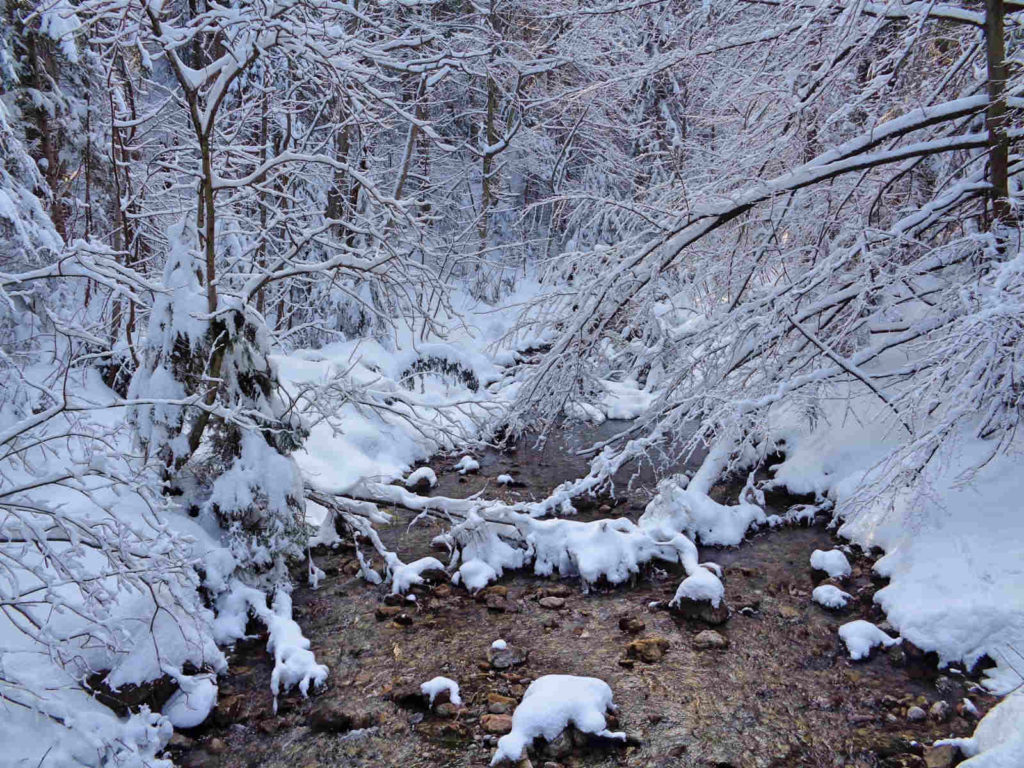 Strążyski Potok zimą