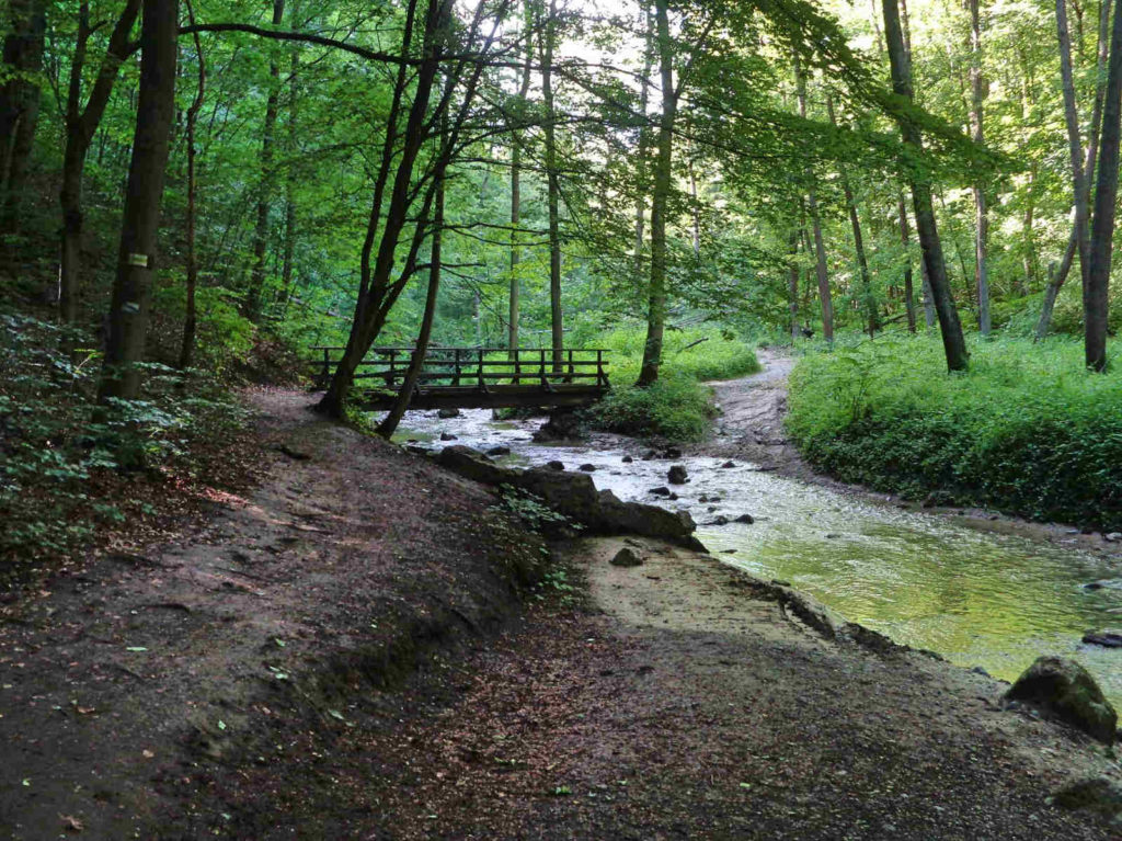 Potok Racławka