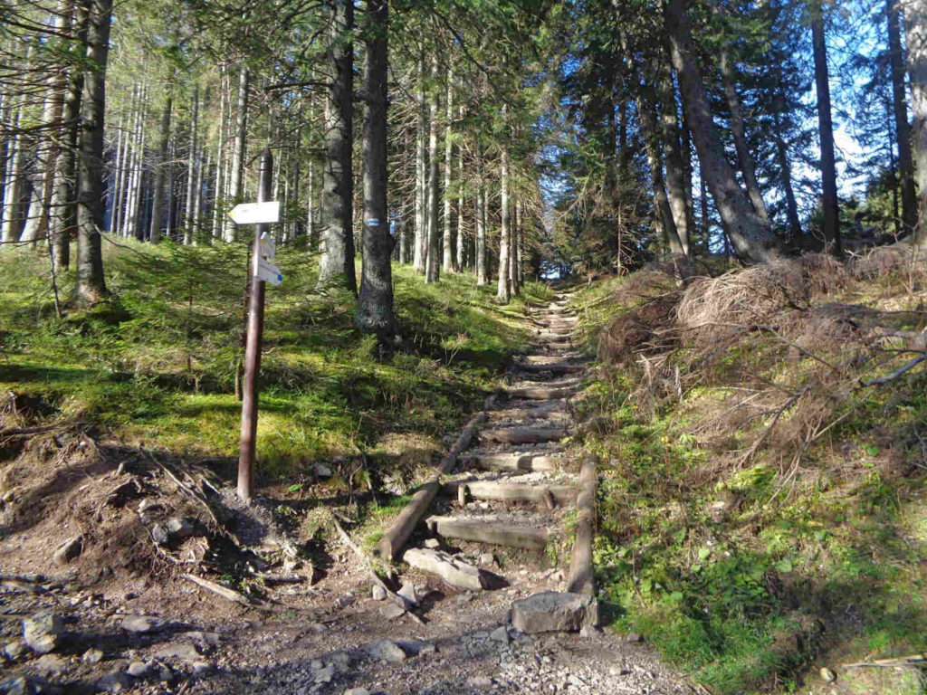 Szlak na Bobrowiecką Przełęcz