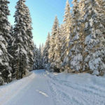 Czarny szlak do Murowańca w zimie