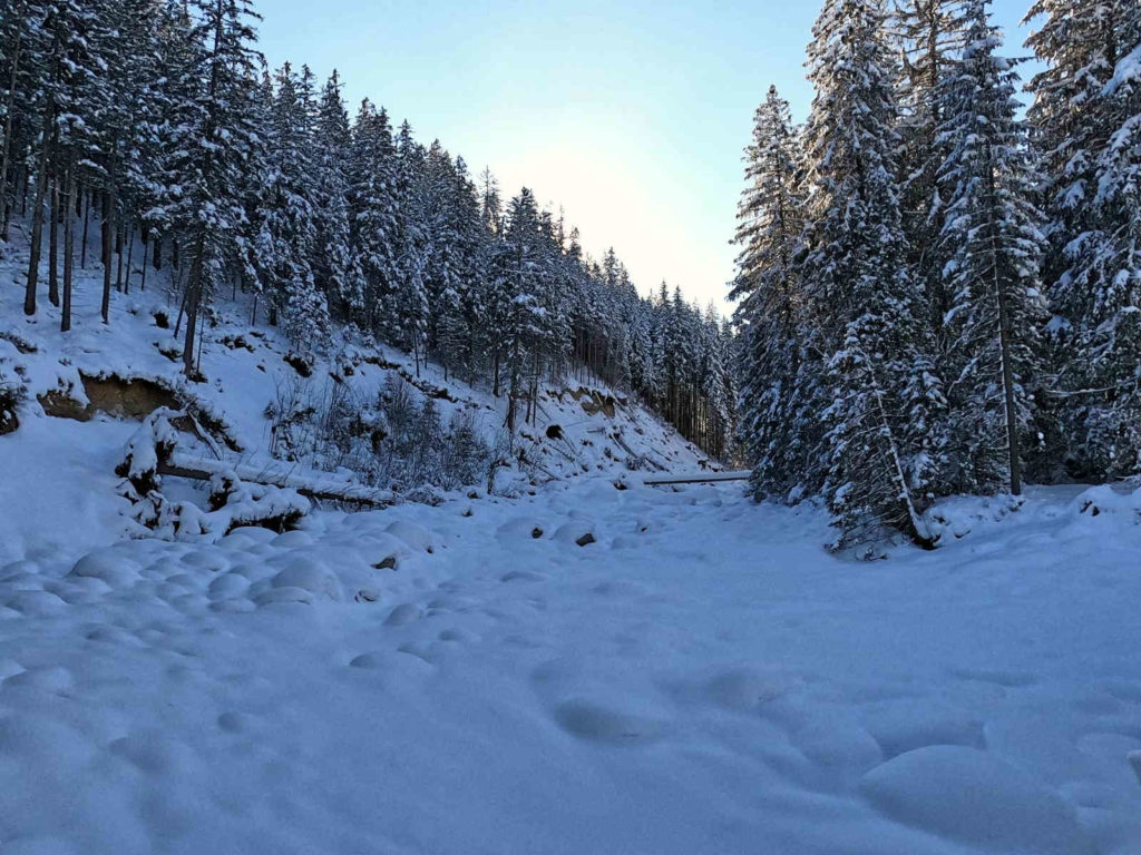 Dolina Suchej Wody w zimie