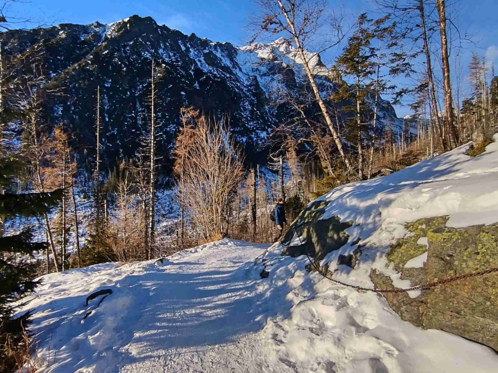 Szlak do Chaty Zamkowskiego w zimie