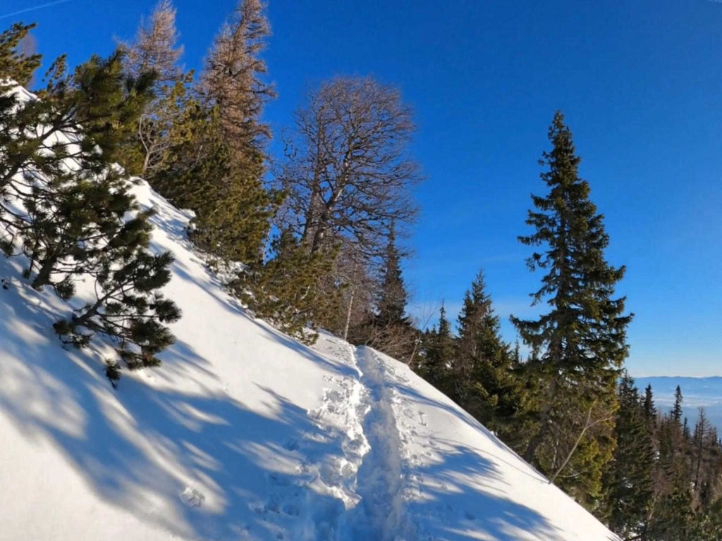 Sławkowski Szczyt, niebieski szlak w zimie