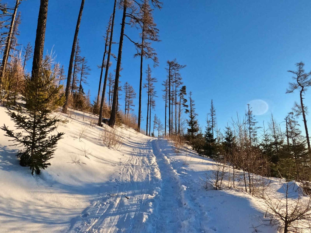 Sławkowski Szczyt, niebieski szlak zimą